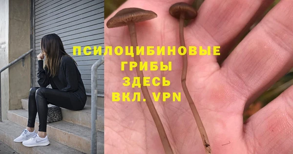 MESCALINE Инсар